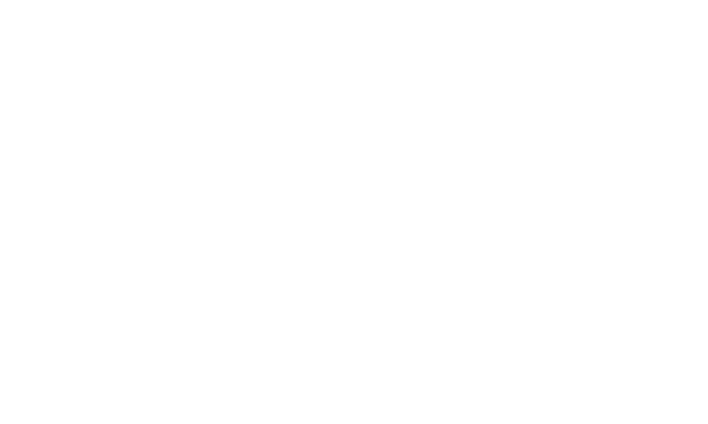 Logo - Nautilus