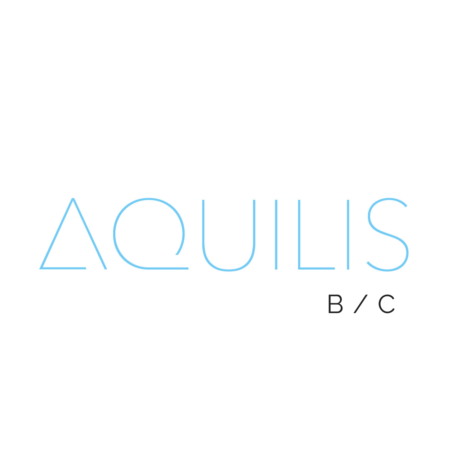 Logo - Aquilis B/C